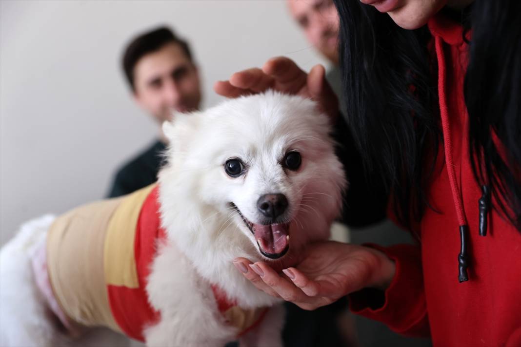 Selçuk Üniversitesi sektörde en çok aranan isimleri yetiştiriyor 9